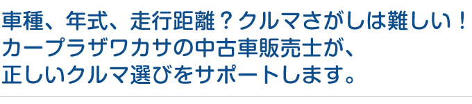 カープラザワカサの中古車販売士